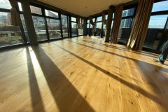 3-coats-of-Varnish