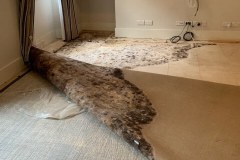 Limestone-Cleaning