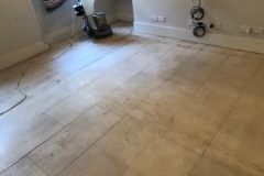clean-and-remove-the-mold-damage
